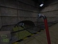 Sewer video01.png