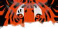 Tiger banner.png