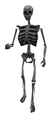 Dm skeleton.png