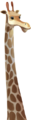 Lamarr giraffe.png