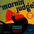 Mornin Judge.jpg