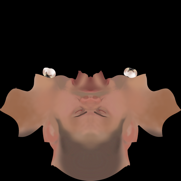 File:Hla combineworker bobhead.png