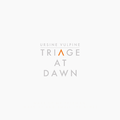 Ursine Vulpine - Triage At Dawn Album Cover.png
