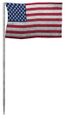 Moon US flag.jpg